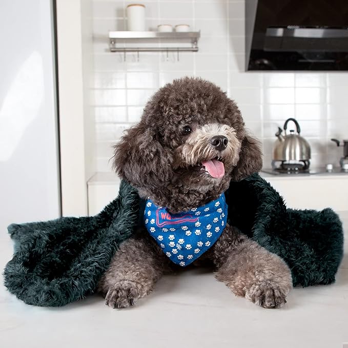 MACEVIA Fluffy Fleece Dog Blankets,Warm Soft Fuzzy Pets Blanket for Puppy,Small,Medium,Large Dogs and Cats,Plush Pet Throws for Bed,Couch,Sofa,Travel (24x29 Inch, Black & Dark Green)