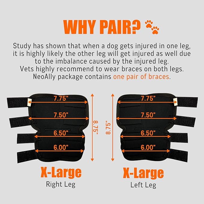NeoAlly® - Rear Leg Hock Brace, Dog Leg Brace for Rear Leg, Hock & Ankle Support for Large Dogs, Dog Brace for Torn Acl and Ccl, Long Version, Extra Large, 1 Pair