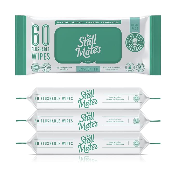 Stall Mates Wipes: Flushable Wipes | 60-Wipe Home Pack | Hypoallergenic | Unscented with Vitamin-E & Aloe | (4 Pack - 240 Total)