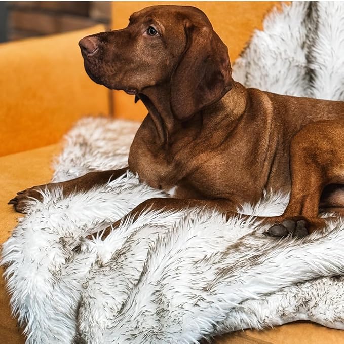 Waterproof Dog Blanket for Small, Medium & Large Dogs – Faux Fur Pet Throw for Couch, Sofa, Bed & Car – Soft, Washable, Stain-Resistant, Durable Cover – White w/Brown Tips – 40" x 30"