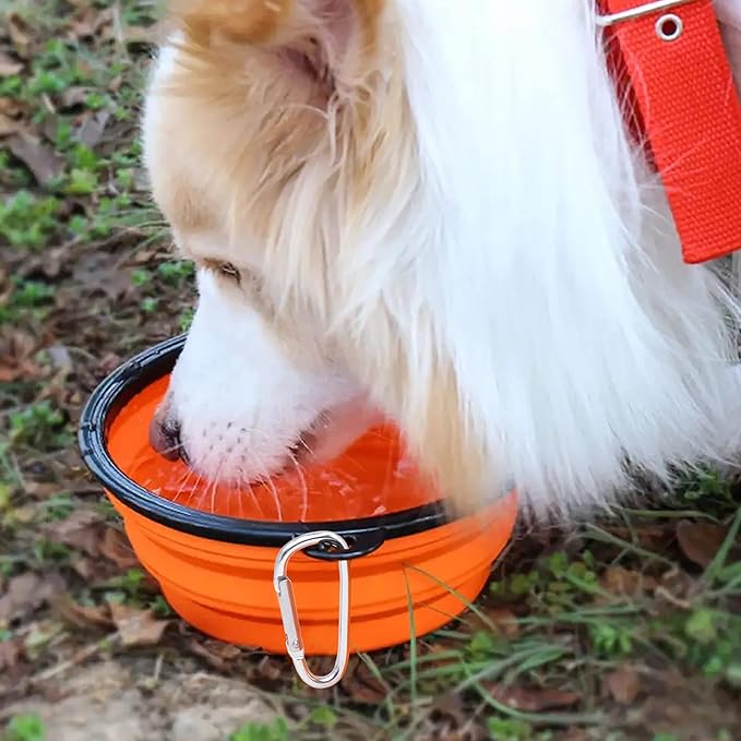 2 Pack Dog Bowl Pet Collapsible Bowls with Clasp Puppy Travel Bowl Portable Cats Water Food Dish for Walking Parking Outdoors Traveling