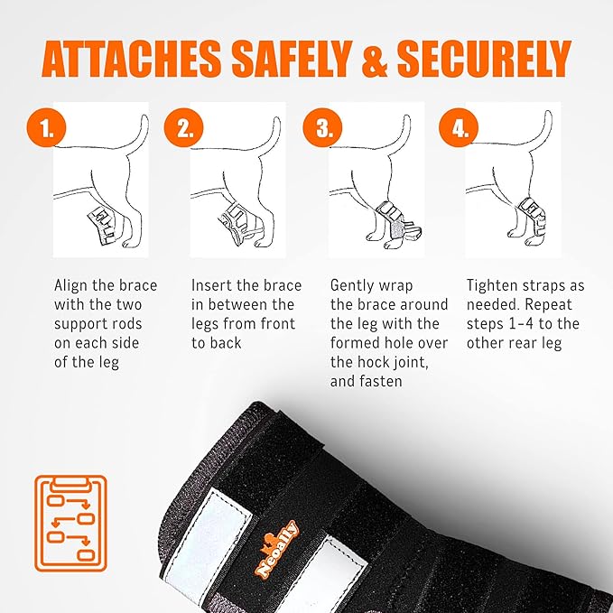 NeoAlly® - Rear Leg Hock Brace, Dog Leg Brace for Rear Leg, Hock & Ankle Support for Large Dogs, Dog Brace for Torn Acl and Ccl, Long Version, Large, 1 Pair