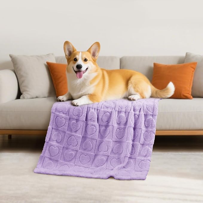 Luciphia Small Dog Blanket Washable Pet Bed Cover Soft Fluffy Puppy Blanket with Premium Fleece 300GSM Cozy Calming Cat Blankets for Indoor Cats Light Purple 57x40 inch