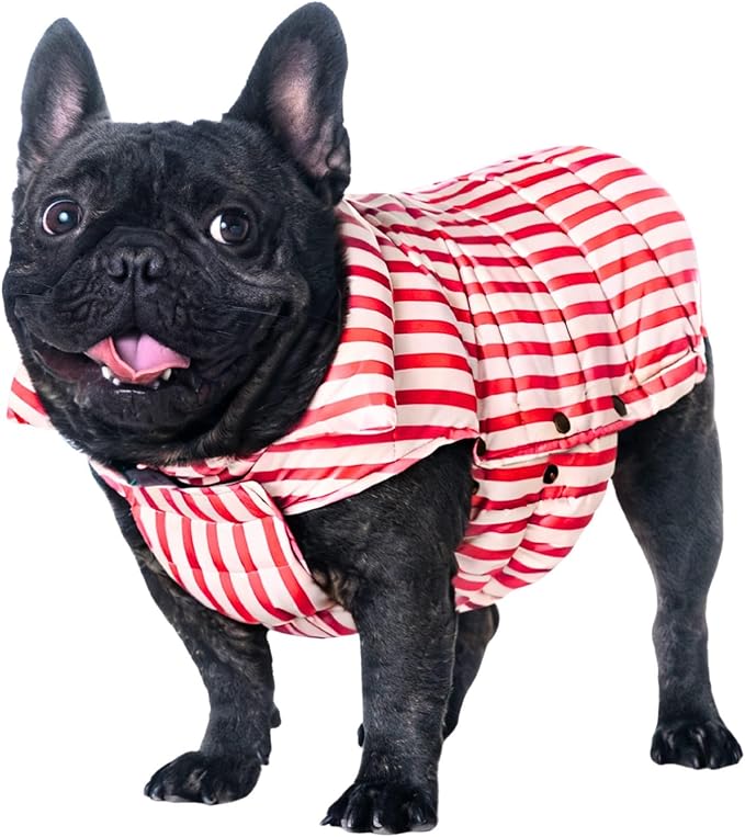 SPACE LION Dog Puffer Jacket, Down Winter Coat, Durable Outdoor Coat for Cold and Windy Conditions, Waterproof, Lightweight Jacket, Adjustable Fit for Small, Medium, Large Dogs(RedStripe, Size20/XL)