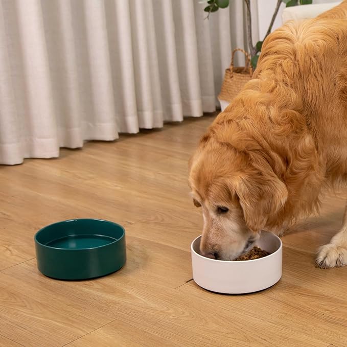 YINGFAN Dog Bowls Heavy Duty Ceramic Dog Bowls Non-Slip Ceramic Basic Bowl for Dogs (28 oz)