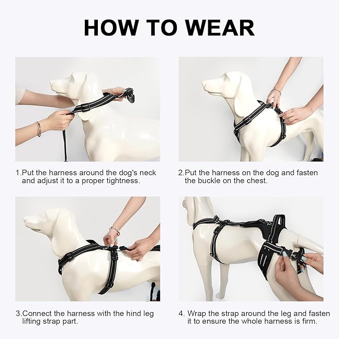 COODEO Professional Dog Sling for Hind Leg Support - Aid for Post-ACL/TPLO Surgery & Senior Dogs, Secure,Breathable & Machine-Washable with Reflective Edging for Safe Walks (Black, XL)