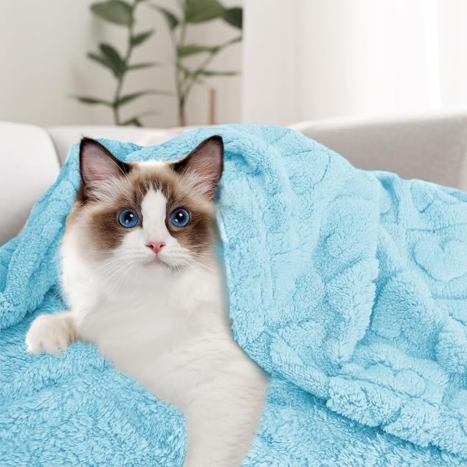 MACEVIA Fluffy Fleece Dog Blankets,Warm Soft Fuzzy Pets Blanket for Puppy,Small,Medium,Large Dogs and Cats,Plush Pet Throws for Bed,Couch,Sofa,Travel(29x40 Inch, Light Blue)