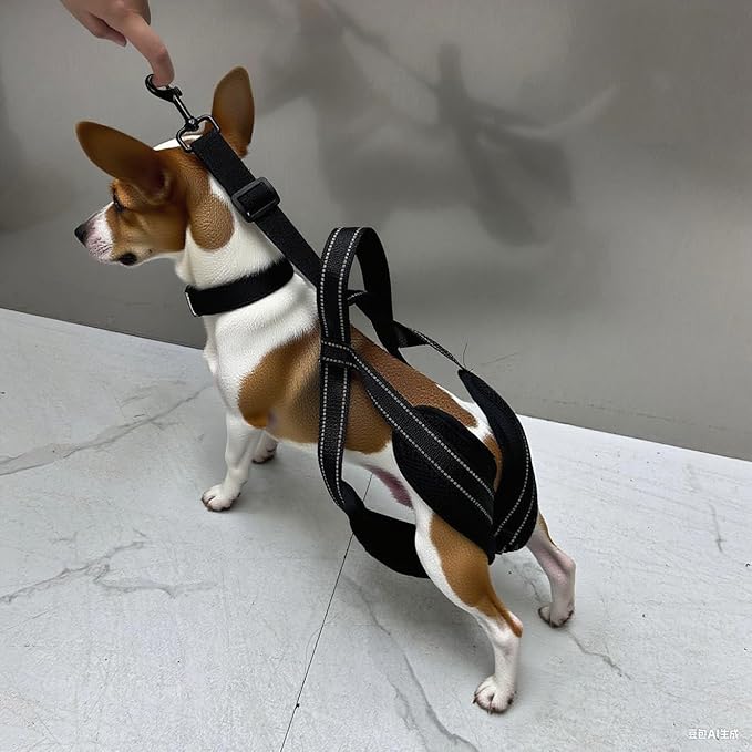 New Upgraded Dog Hind Leg Support Harness, Rear Leg Support Harness - Mobility Aid for Disabled & Paralyzed Pets, Rehabilitation Sling for Hind Leg Assistance Comfortable and Durable Design (Large)