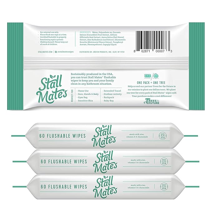 Stall Mates Wipes: Flushable Wipes | 60-Wipe Home Pack | Hypoallergenic | Unscented with Vitamin-E & Aloe | (4 Pack - 240 Total)