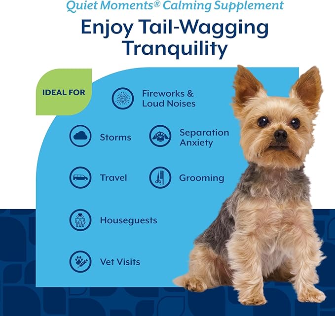 NaturVet Quiet Moments Calming Dog Supplement, Dog Soft Chews with Melatonin to Help Reduce Stress from Storms, the Vet, Fireworks, and Travel, Bacon and Chicken Flavored Pet Supplement, 180 Count Jar