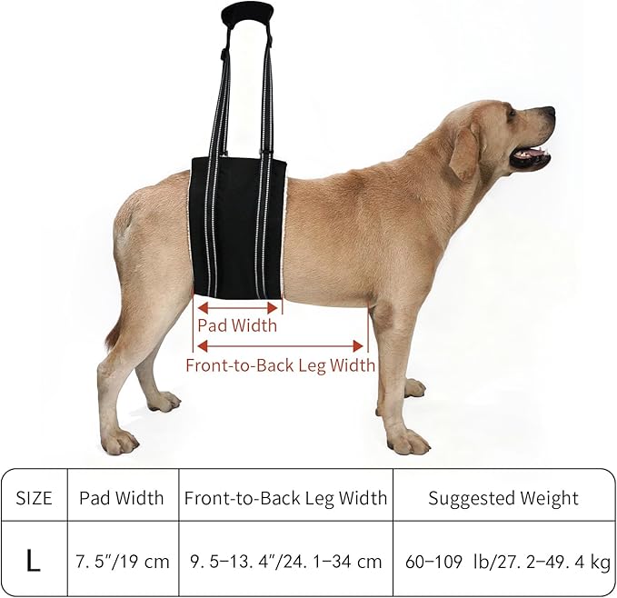 COODEO Adjustable Comfortable Dog Sling with Handle Hind Leg Support Soft Lift Support and Rehab Harness for Weak Rear Legs,Helps Senior, Injured, Disabled and After ACL Surgery Dogs Large (Black, L)