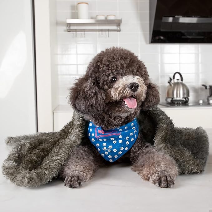 MACEVIA Fluffy Fleece Dog Blankets,Warm Soft Fuzzy Pets Blanket for Puppy,Small,Medium,Large Dogs and Cats,Plush Pet Throws for Bed,Couch,Sofa,Travel(24x29 Inch, Taupe)