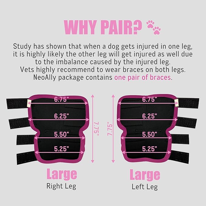 NeoAlly Dog Rear Leg Braces [Long Version] Canine Hind Hock Support with Safety Reflective Straps for Joint Injury, Sprain Protection, Wound Healing and Loss of Stability from Arthritis (Pink L Pair)