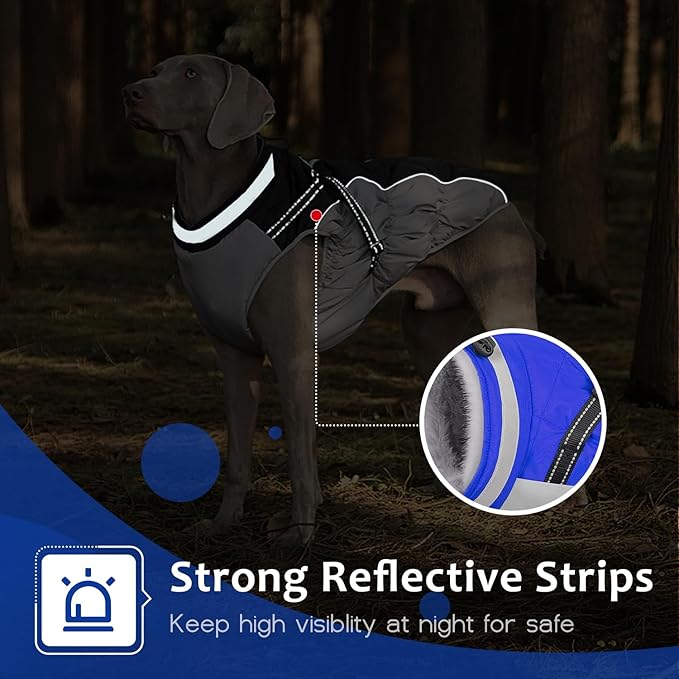 Abuandi Dog Winter Coat with Harness, Dog Jacket, Pet Clothes with Zipper on Back, Waterproof Windproof Warm Vest, Reflective Cold Weather Coats, for Small Medium Large Dogs, Thick, Blue, L