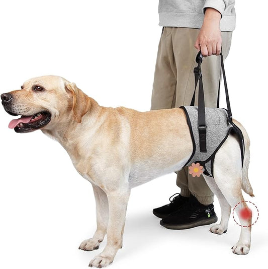 ROZKITCH Dog Lift Harness, Pet Rear Support Aid Veterinarian Approved Sling for Old Help with Poor Stability, Back Leg Hip Disabled Joint Injury Elderly Arthritis ACL Rehabilitation Rehab Grey S