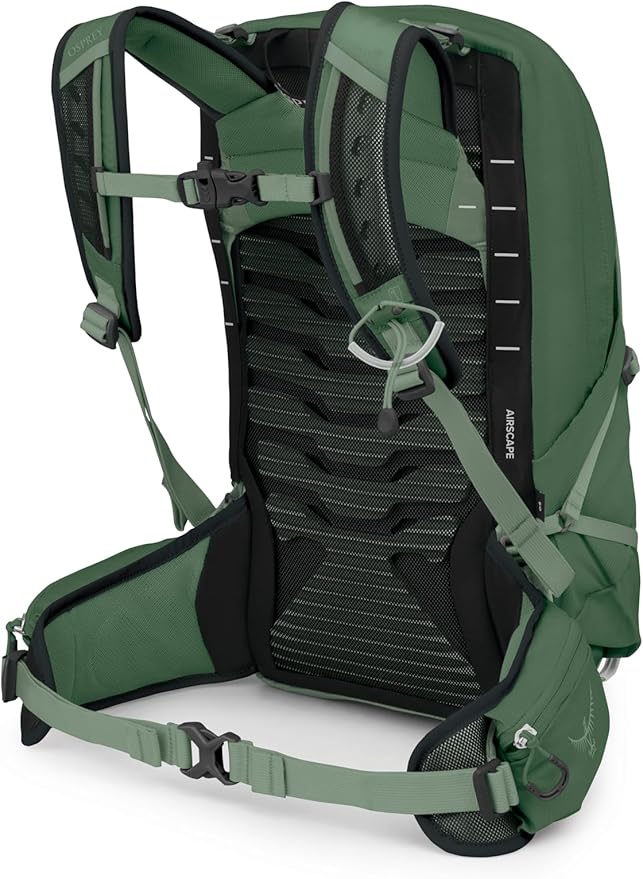 Osprey Talon 11L Men's Lightweight Hiking Backpack - Small Daypack for Travel & Camping, Green Canopy