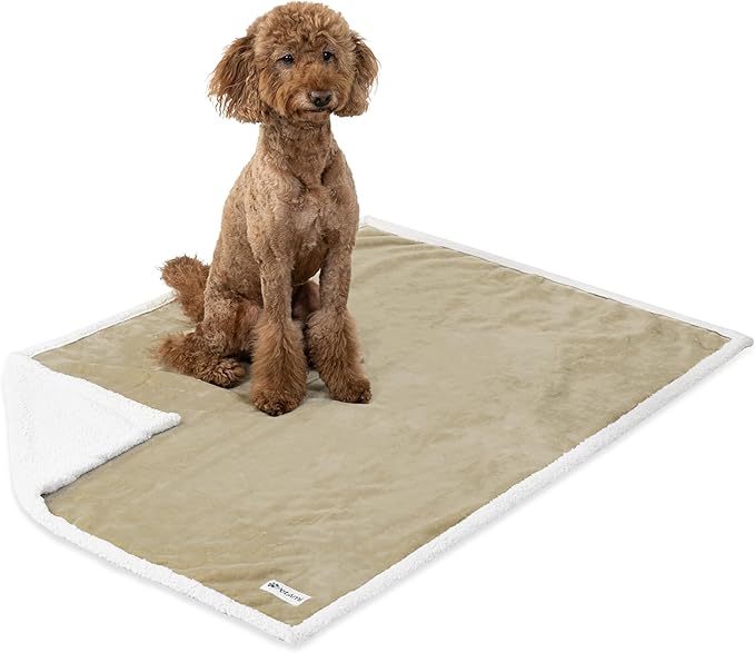 PetAmi Waterproof Dog Blanket for Medium Large Dog Puppy Cat Throw for Couch Cover Leakproof Protection, Sherpa Fleece, Reversible Soft Washable 60x40 Taupe