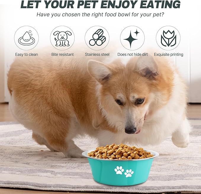 Stainless Steel Dog Bowls 2 Pack Medium Large Dogs Feeding Food Water Bowl with Non-Slip Silicone Sole, Stainless Steel Dog Dishes Elevated Raised Pet Feeder (Green+Grey, L(6.6 Cups))