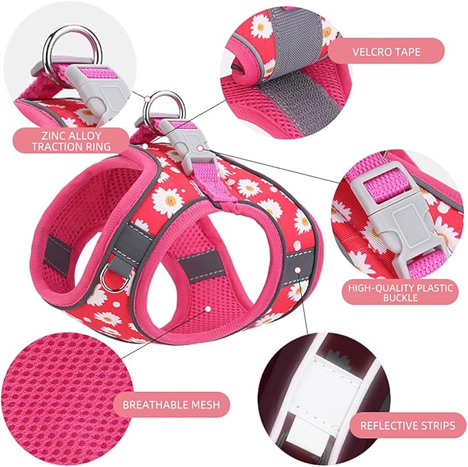 Step in Dog Harness and Leash Set, Flower Adjustable Easy Walk Puppy Harnesses, Soft Mesh No Pull Pet Vest Harness for Small Dogs and Cats(Strawberry, XS)