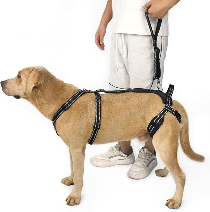 COODEO Professional Dog Sling for Hind Leg Support - Aid for Post-ACL/TPLO Surgery & Senior Dogs, Secure,Breathable & Machine-Washable with Reflective Edging for Safe Walks (Black, L)