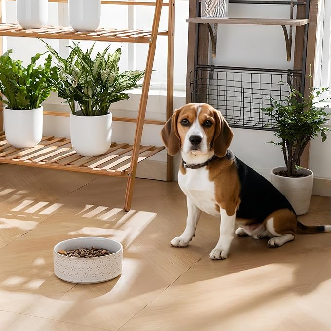 MALACASA Ceramic Dog Food Bowl, 3.5 Cups or 32oz Dog Food Water Dish for Mudium Breeds, Pet Bowl Dishwasher & Microwave Safe, Five-Leaf Grass, Series Lydia