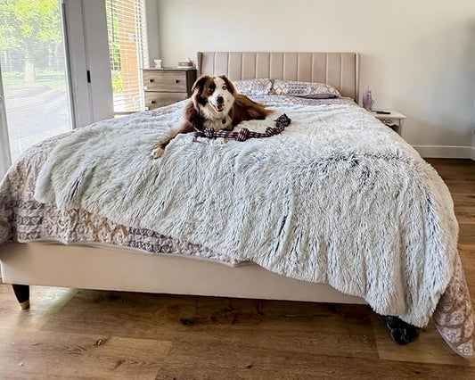 PJYuCien Large Dog Blanket, 80" x 60" Reversible Fleece Sherpa Blankets, Soft Plush Pet Throw for XL Dogs, Washable Cozy Furniture Protector for Couch/Bed, Grey