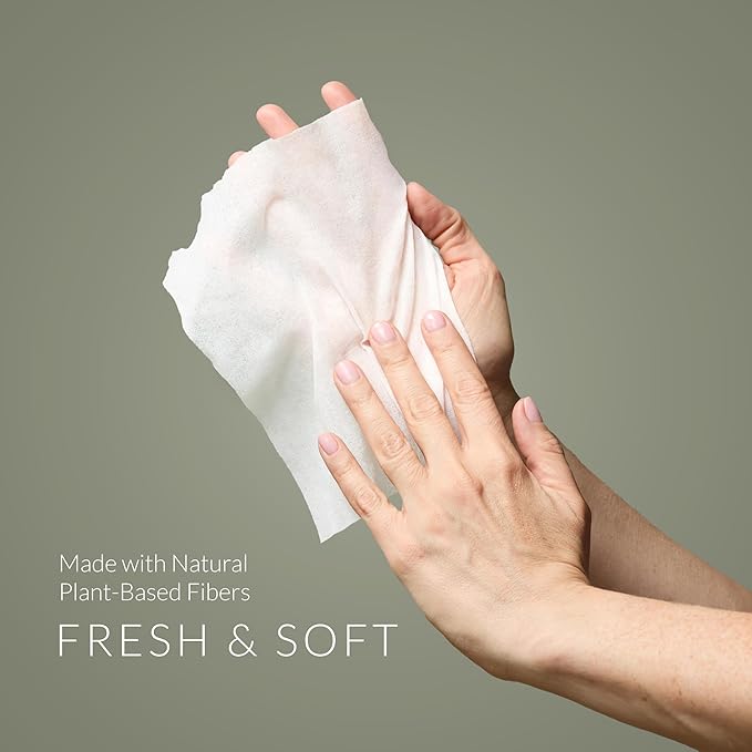 Noshinku Eucalyptus Hand Sanitizer Wipes, 3-Pack (45 Towelettes) – Resealable Travel Wipes with Ethyl Alcohol, Aloe & Green Tea, Plant-Based Fiber, Essential Oil Scents, Cruelty-Free & No Dyes