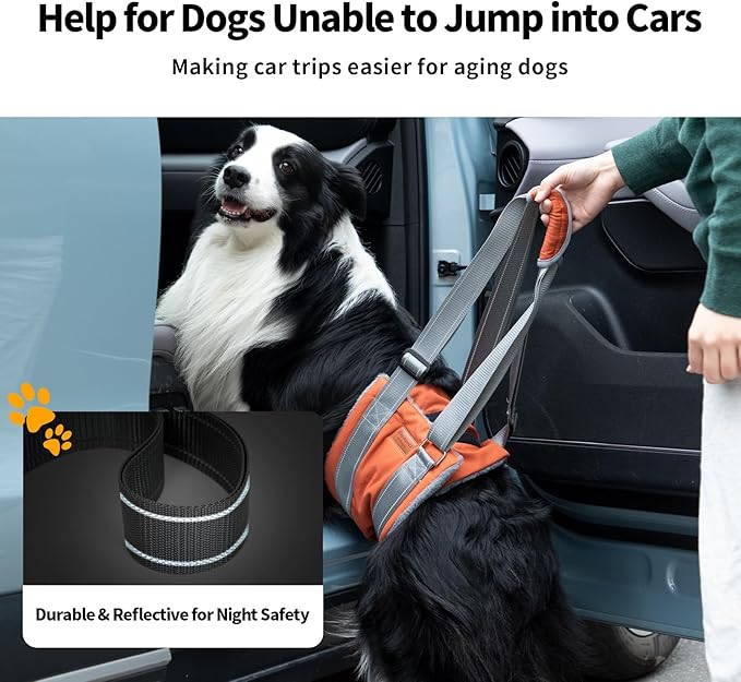ExploreU Dog Sling for Back Legs Dog Lift Harness Magic Tape Hip Support Harness Rehab to Help Senior,Injured,Arthritis,Hip Dysplasia,Weak Rear Leg,Disabled,After ACL/CCL Surgery,TPLO Dogs (Brown, M)