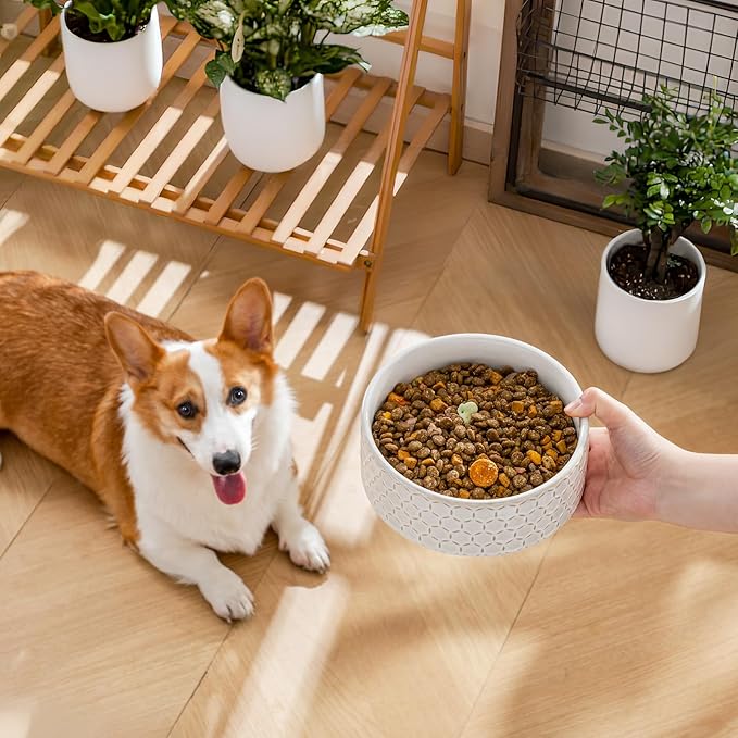 MALACASA Ceramic Dog Food Bowl, 3.5 Cups or 32oz Dog Food Water Dish for Mudium Breeds, Pet Bowl Dishwasher & Microwave Safe, Honeycomb, Series Lydia