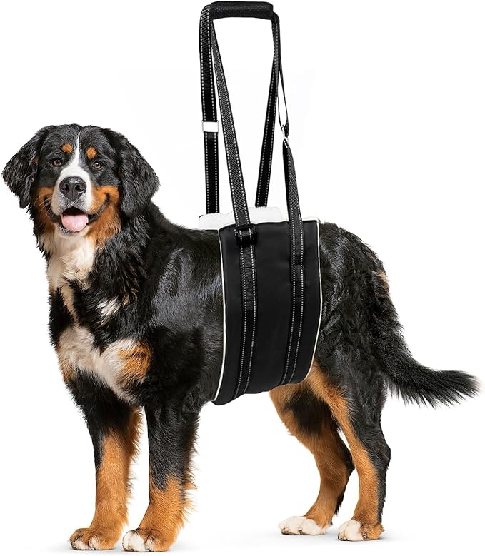 Dog Lift Harness, Adjustable Comfortable Dog Sling with Handle for Large Dog Knee Brace for Torn ACL Hind Leg, Weak Rear Legs, Helps Senior, Injured, Disabled,L