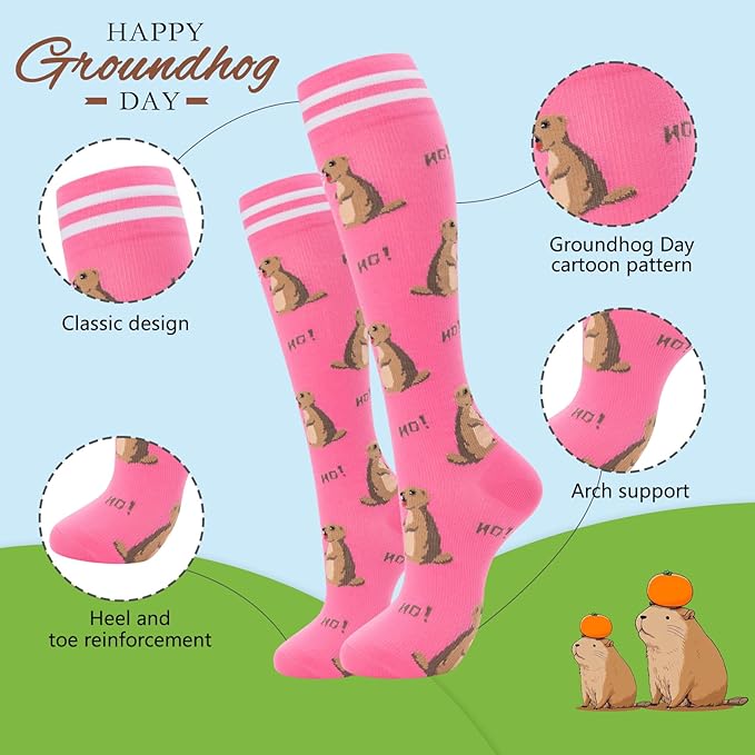 fenglaoda Compression Socks for Women Men Support Circulation 6 Pairs Socks For Nurse, Travel, Flight