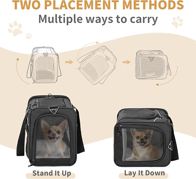‌Petsfit Airline Approved Pet Carrier for Small Dogs & Cats, 19x9x12 TSA Approved Carrier, with Removable Dual-Sided Padding (2-Way Placement) - Fits Under Most Airplane Seats, Escape Proof (Black)