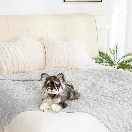 gogobunny Calming Plush Dog Cat Blanket 300GSM Coral Fleece, Ultra-Soft Machine Washable Pet Bedding for Small Medium Dogs Cats Puppies Kittens (Silver, 60x80)