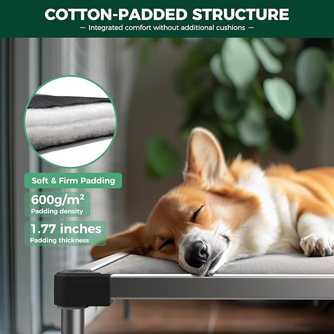 FXW TitanNest Chew-Proof Elevated Dog Bed, Raised Cot for Indoor/Outdoor/Camping Use, Durable & Washable Padded Pet Bed for Toy Dogs, 23.0" L x 17.0" W x 4.1" H, Gray