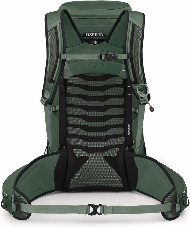 Osprey Talon 33L Men's Lightweight Hiking Backpack - Daypack for Travel & Camping, Green Canopy/Pine Leaf, Extended Fit