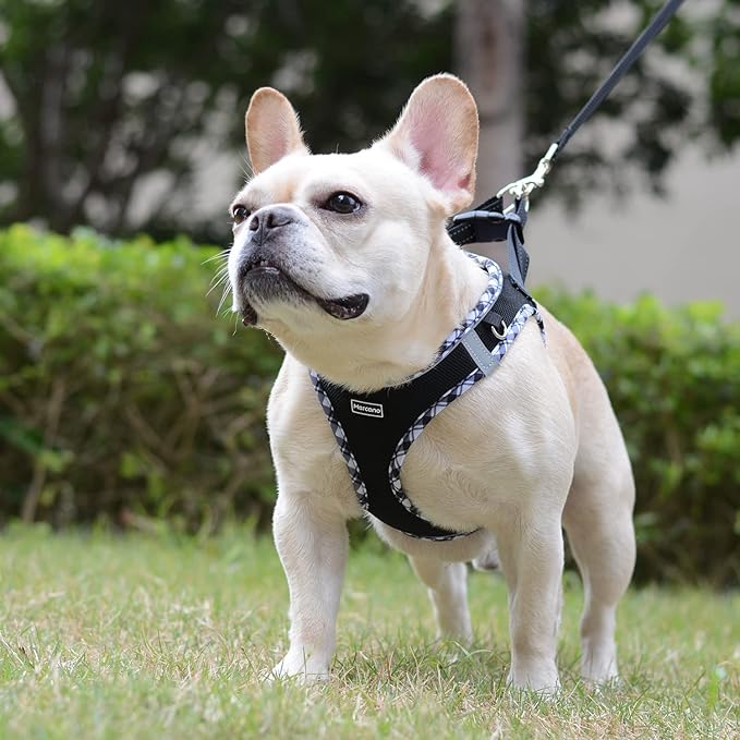 Mercano Soft Mesh Dog Harness and Leash Set, No-Chock Step-in Reflective Breathable Lightweight Easy Walk Vest Harnesses with Safety Buckle for Small Dogs, Cats (Black White, L)