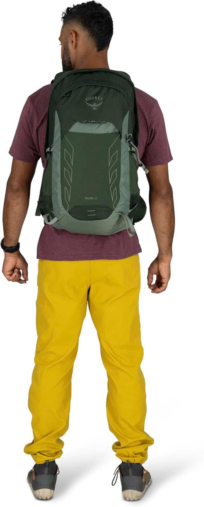Osprey Talon 22L Men's Lightweight Hiking Backpack - Small Daypack for Travel & Camping, Green Canopy/Pine Leaf