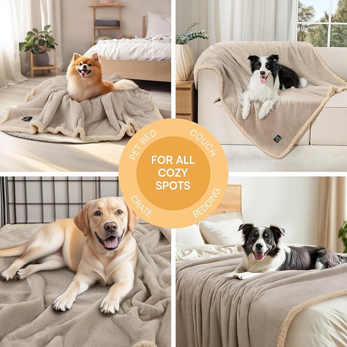 Luciphia Waterproof Pet Blanket, Liquid Pee Proof Dog Blanket for Sofa Bed Couch, Reversible Sherpa Fleece Furniture Protector Cover for Small Medium Large Dogs Cats, Dark White Queen Size（90" x 82"）