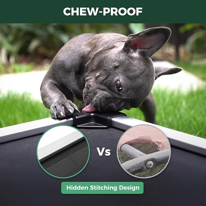 FXW TitanNest Chew-Proof Elevated Dog Bed, Raised Cot for Indoor/Outdoor/Camping Use, Durable & Waterproof Cooling Pet Bed for Small Dogs, 35.0" L x 22.0" W x 4.5" H, Black