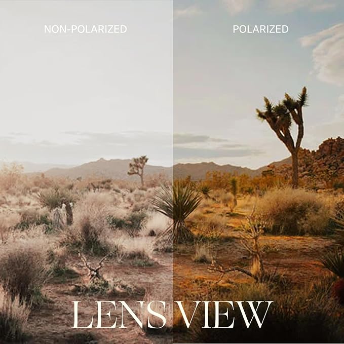 Randolph Eyewear Aviator Sunglasses for Men & Women – Non-Polarized & Polarized Lenses, 23k Gold UV Protection Sunglasses