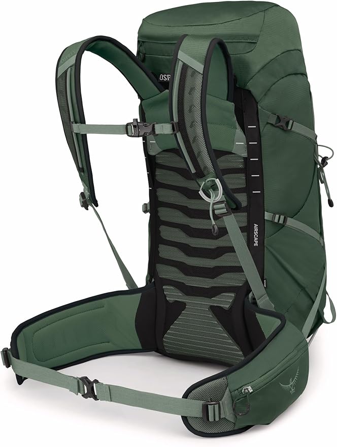 Osprey Talon 33L Men's Lightweight Hiking Backpack - Daypack for Travel & Camping, Green Canopy/Pine Leaf, Extended Fit