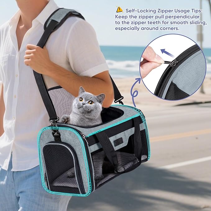 BALEINE Cat Carrier, Puppy Dog Carrier for Small Medium Pets Up to 22 Lbs, Soft-Sided Dog Travel Bag with Safety Zippers, Collapsible Pet Carrying Case (Gray, XL, 19"x12"x12")