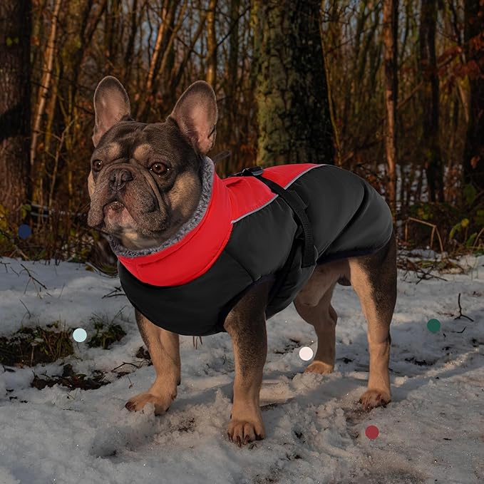 IECOii Extra Warm Dog Coat - Reflective Adjustable Dog Jacket with Buckle Fleece Turtleneck for Cold Weather - Soft Winter Coat for Small, Medium, Extra Large Dogs