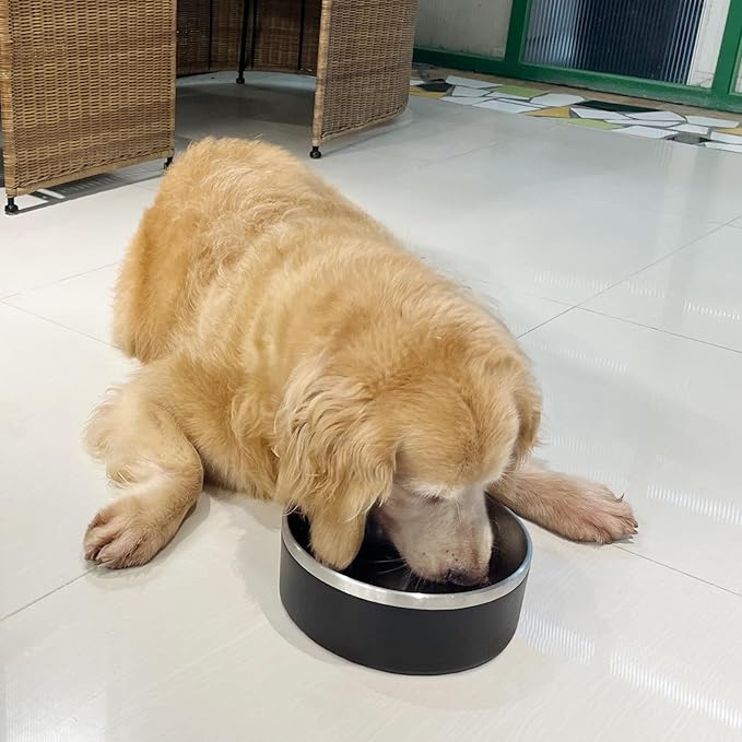 Stainless Steel Dog Bowls - Metal Dog Dish for Large Dogs, Insulated, Non Slip, Easy to Clean, 40oz, Black