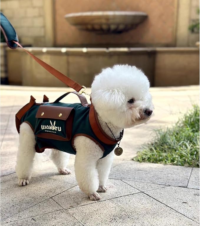 Wakytu Dog Lift Harness Dog Carrier Dog VES Harness Adjustable Dog Leash with Small Puppy Treat Bag（Green,XS）