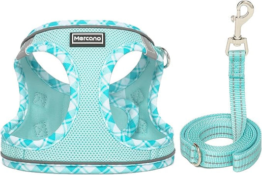 Mercano Soft Mesh Dog Harness and Leash Set, No-Chock Step-in Reflective Breathable Lightweight Easy Walk Vest Harnesses with Safety Buckle for Small Dogs, Cats (Light Blue, M)