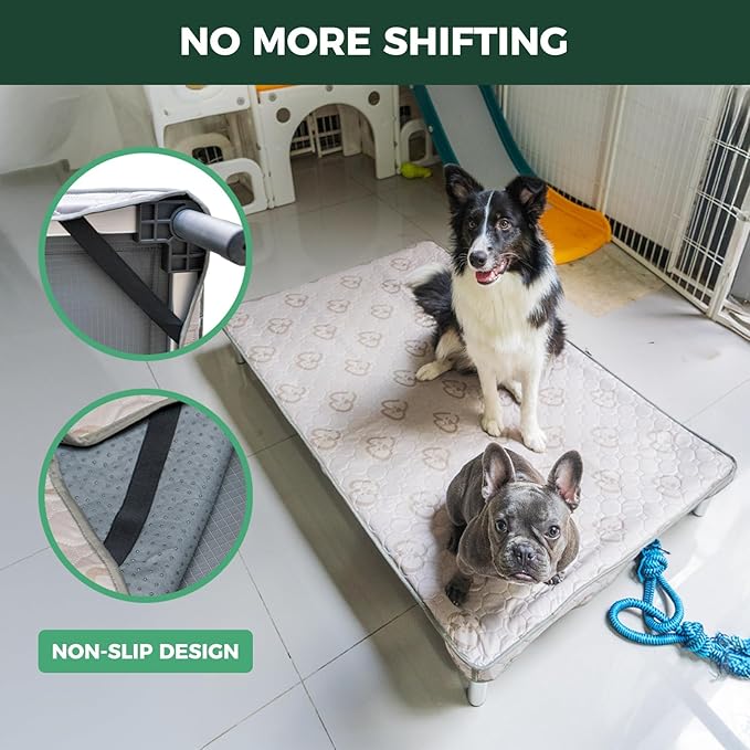 FXW TitanNest Chew-Proof Elevated Dog Bed, Raised Cot for Indoor/Outdoor/Camping Use, Durable & Waterproof Cooling Pet Bed with Exclusive Cover for Extra-Small Dogs, 29.0" L x 18.0" W x 4.5" H, Black