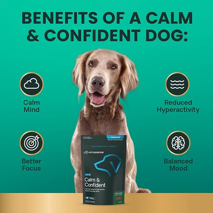 VetriScience Calm & Confident Calming Chews for Dogs, Supplement for Stress Support, Thunderstorms, Fireworks, & Travel, Bacon, Soft Chews, 120 Count - New Look