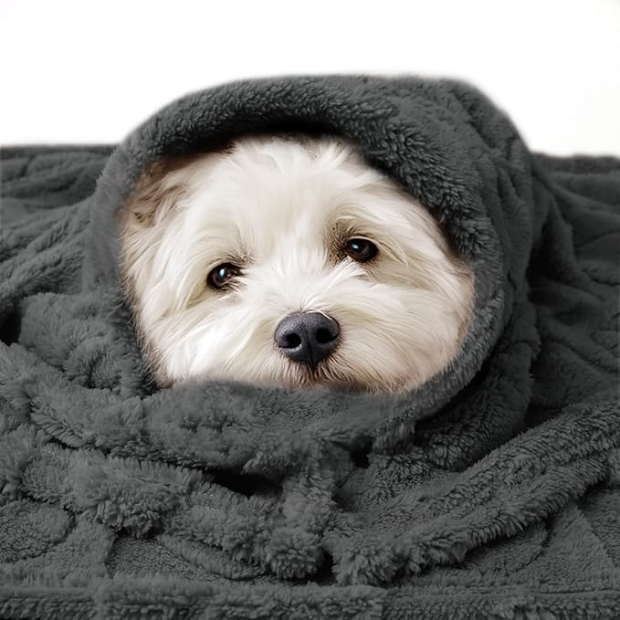 Luciphia Small Dog Blanket Washable Pet Bed Cover Soft Fluffy Puppy Blanket with Premium Fleece 300GSM Cozy Calming Cat Blankets for Indoor Cats Grey 57x40 inch