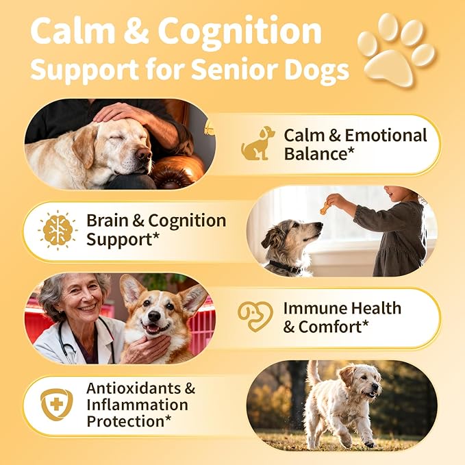 Advanced Calming Chews for Dogs-Brain & Composure Support with 7 Mushrooms, Ashwagandha, Omega-3 DHA & EPA, Anxiety Relief Dog Calming Treat, ll Breeds & Sizes Puppy, Salmon Flavor, 90Ct